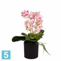 Орхидея искусственная Alseed, розовая, h-26 см. в интерьерном кашпо, d-15 см. в Москве