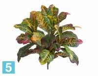 Кротон куст искусственный Мидл зелёно-жёлто-розовый (Sensitive Botanic) TREEZ Collection в #REGION_NAME_DECLINE_PP#
